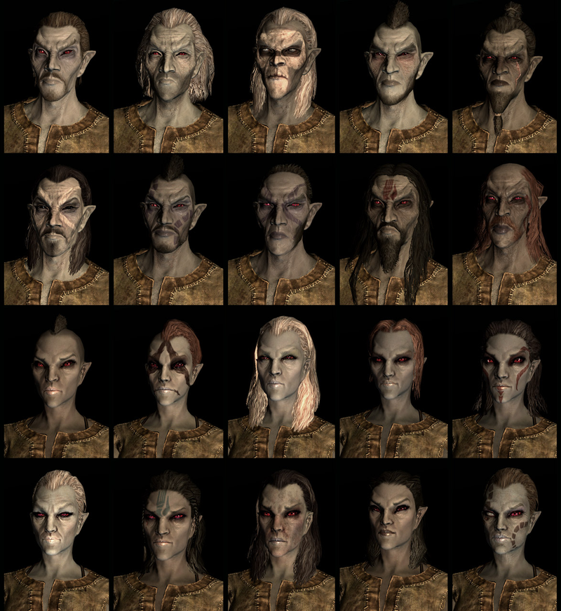 Illustration for article titled Twenty Different Faces For Each of Skyrim's Races